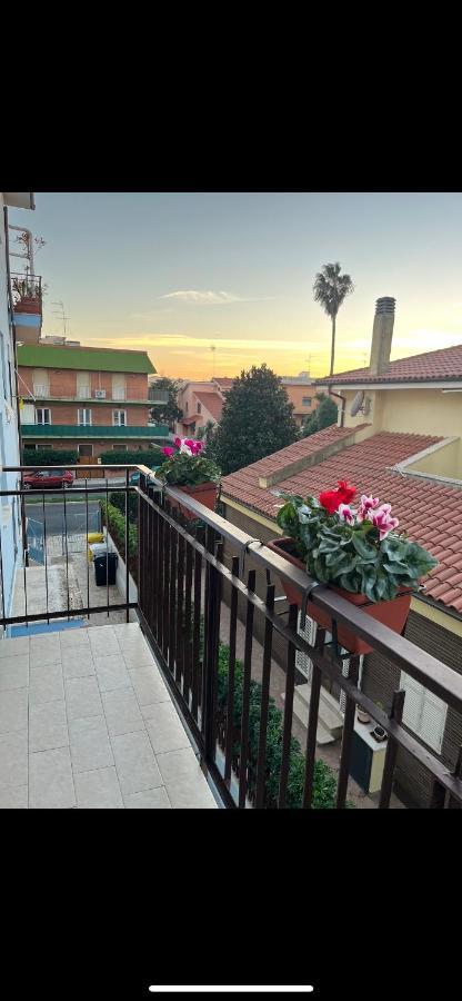 T&M Apartman Ladispoli Kültér fotó