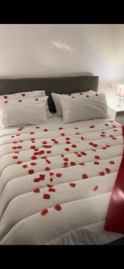 T&M Apartman Ladispoli Kültér fotó